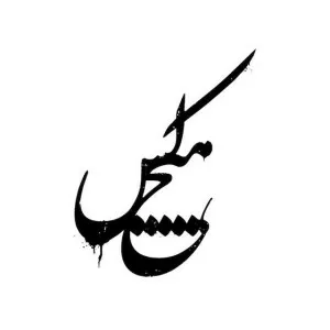 Hichkas - Iranian rapper