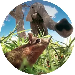 Hidden Kingdoms - British television series