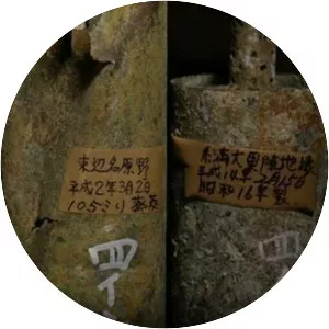 Hidden Traces - TV program