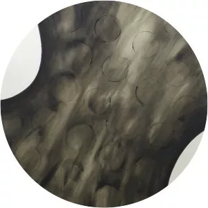 Hideko Fukushima - Visual artist