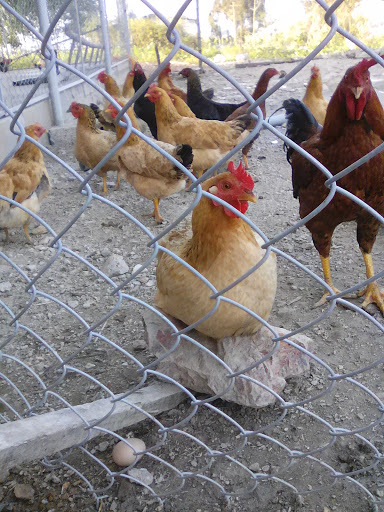 hieu Thuoc Thuy Hien - Store in Vietnam