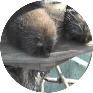 Higashiyama Zoo and Botanical Gardens