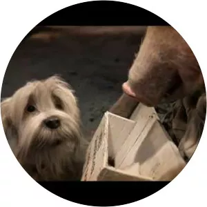 Higglety Pigglety Pop! or There Must Be More to Life - 2010 ‧ Short/Animation ‧ 25 mins