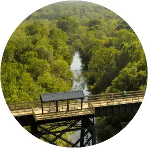 High Bridge Trail - Park in Virginia