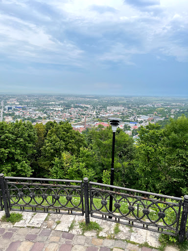 High Castle Wall Drilling Trees - Nature preserve in Lviv, Ukraine
