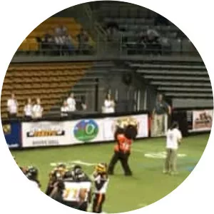 High Country Grizzlies - Football team