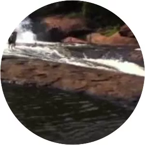 High Falls Water Park