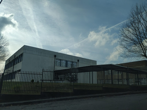 High School Barroselas