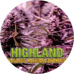 Highland: Thailand's Marijuana Awakening