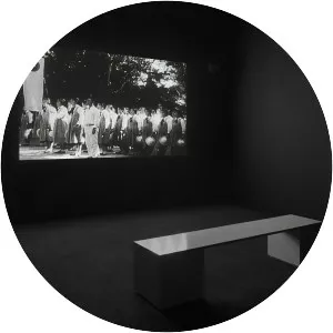 Hikaru Fujii - Japanese translator