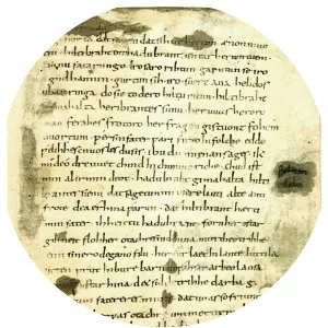 Hildebrandslied - Verse