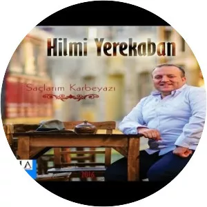 Hilmi Yerekaban - Musical artist
