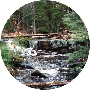 Hilton-Winn Preserve - 