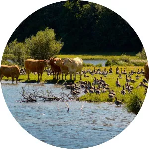 Hindemade - Lake in Denmark