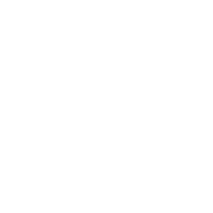 Hindustan Zinc - Mining company