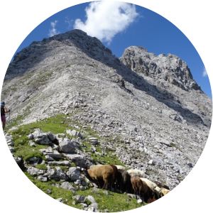 Hintere Brandjochspitze