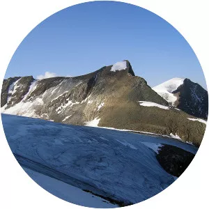 Hinterer Bratschenkopf