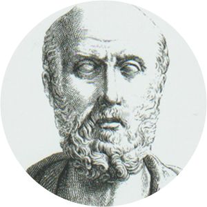 Hippocratidas photograph