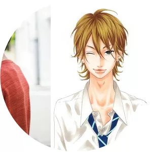 Hiromitsu Heroine Disqualified