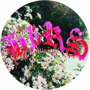 Hirs Collective