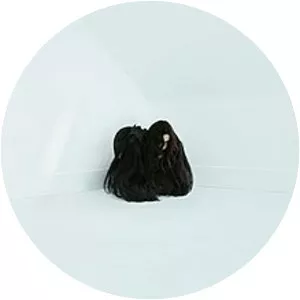 Hiss Spun - Studio album by Chelsea Wolfe