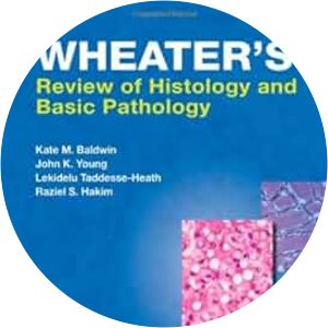 histology for pathologists basic histology