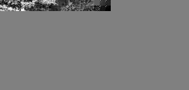 Historic Jefferson College - 