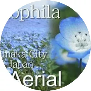 Hitachi Seaside Park