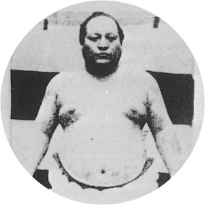 Hitachiyama Taniemon - Japanese rikishi