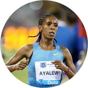 Hiwot Ayalew