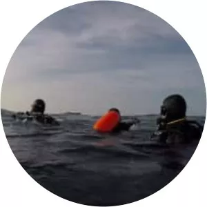 HMS Cressy - Cressy-class cruiser