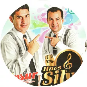 Hnos Silva