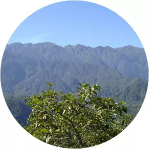 Hoàng Liên Sơn (Dãy núi Hoàng Liên Sơn)