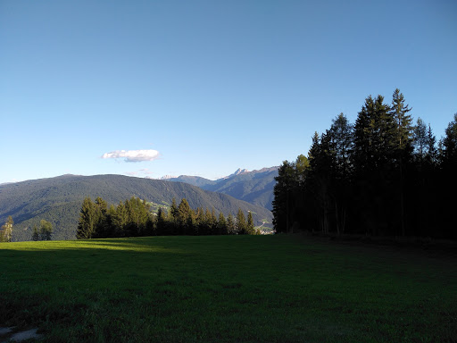 Hofer Tor Und T R Gmbh - 