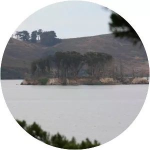 Hog Island - Island in Tomales Bay
