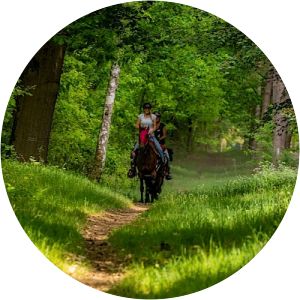 Hohe Mark Nature Park - 