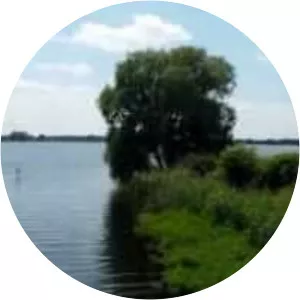 Hohennauener See (Ferchesarer See)