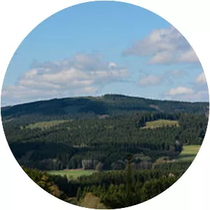 Hoher Wald