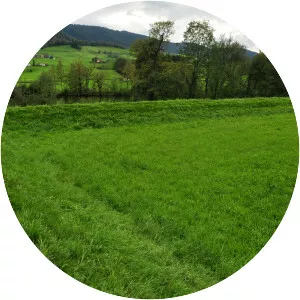 Höhronen - Mountain in Switzerland