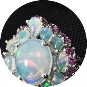 Holiday Special Customer Appreciation Day: Lifestyle Connection - TV program