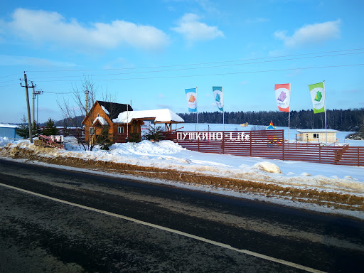 Holiday Village Pushkino life