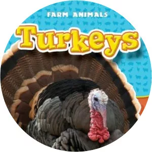 Hollie J. Endres - Author