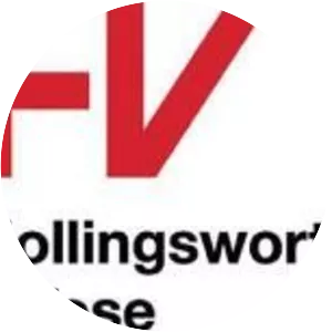 Hollingsworth & Vose - Company