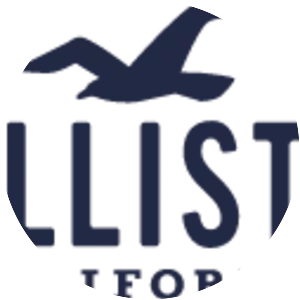 Hollister Co. - Concept store company