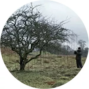 Holly Goldsworthy photograph