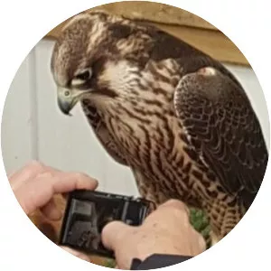 Holly Lamar - American singer-songwriter