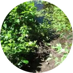 Holly Recreation Area