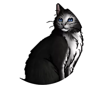 Hollyflower photograph