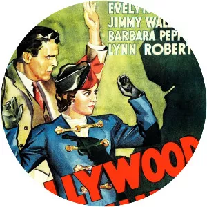 Hollywood Stadium Mystery