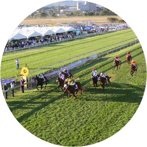 Hollywoodbets Scottsville Racecourse